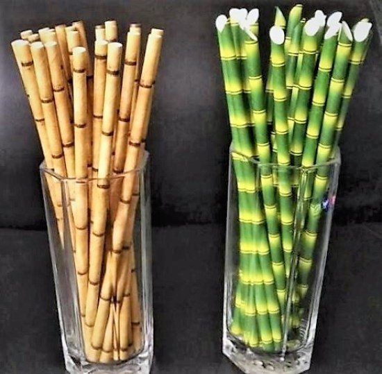 paper straws bamboo design (6)